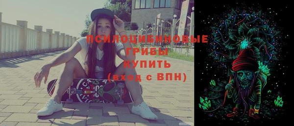 МДПВ Алексин
