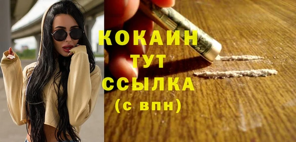 МДПВ Алексин