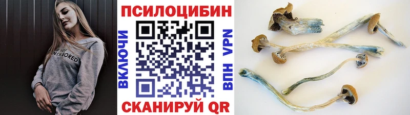 Галлюциногенные грибы мухоморы  Алушта 