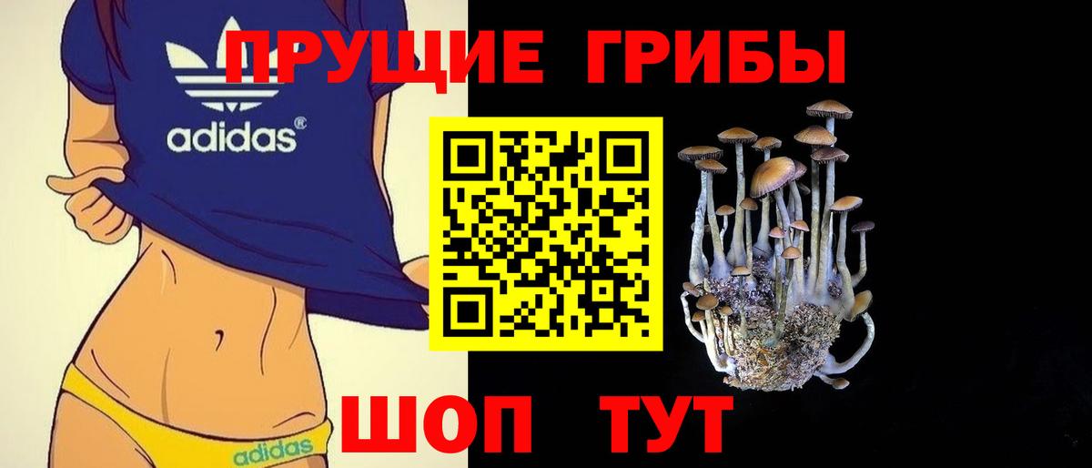 Алушта  Галлюциногенные грибы MAGIC MUSHROOMS  Вход с VPN 